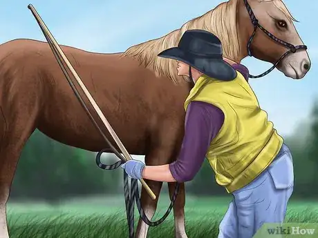 Image titled Teach Your Horse to Piaffe Step 5