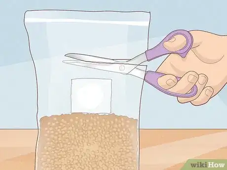 Image titled Create a Mycofiltration System Step 5
