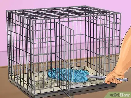 Image titled Reduce Ferret Odor Step 7