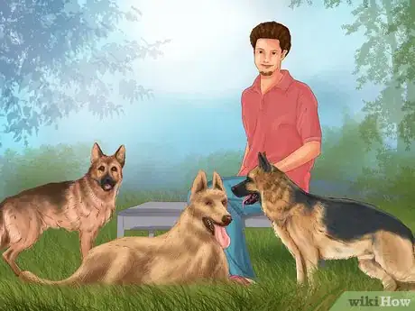 Image titled Give Your Large Dog Enough Exercise Step 11