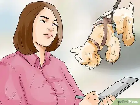 Image titled Diagnose Diabetes in Miniature Schnauzers Step 17