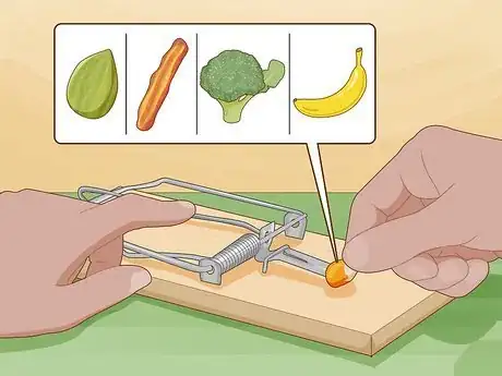Image titled Get Rid of Rats Without Harming the Environment Step 4