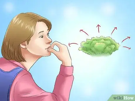 Image titled Plant Evergreen Shrubs Step 4