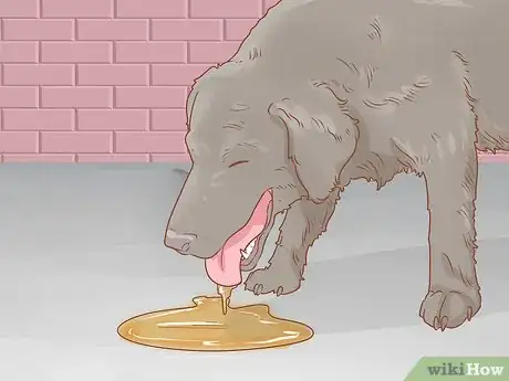 Image titled Treat Endocrine Disorders in Older Dogs Step 3