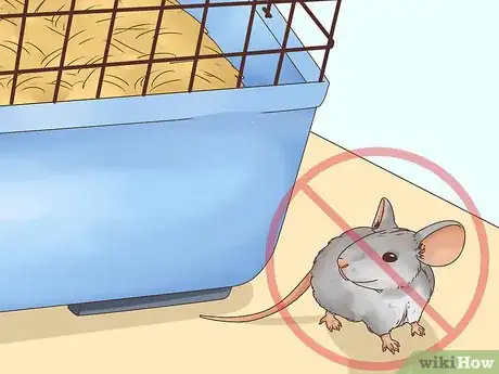 Image titled Keep Pet Mice Safe around Children Step 4