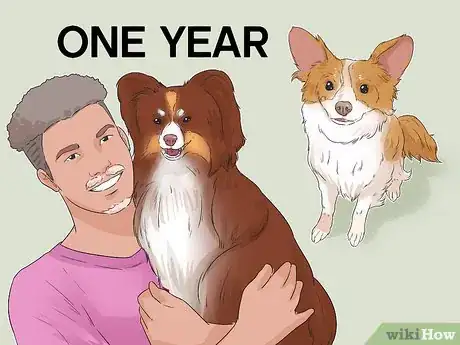 Image titled Involve a Dog in Pet Therapy Work Step 14