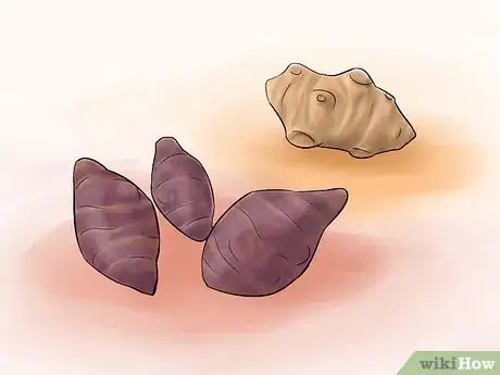 Image titled Grow Perennial Vegetables Step 1