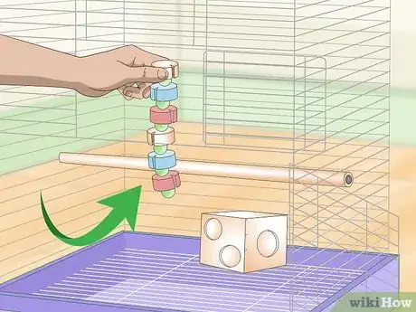 Image titled Keep a Senegal Parrot Entertained Step 3