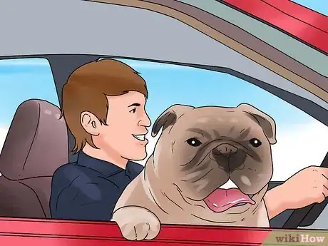 Image titled Become Your Dogs' Playmate Step 10