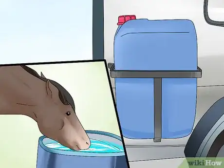 Image titled Take Your Horse on a Long Trailer Ride Step 13