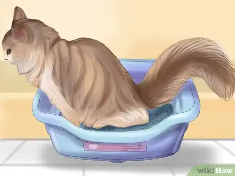 Image titled Know if Your Cat Is Sick Step 3
