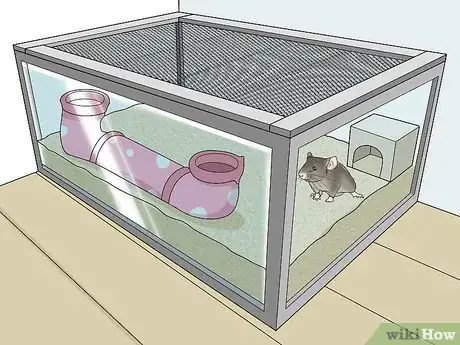 Image titled Keep Pet Mice Safe from Other Pets Step 6