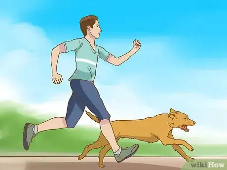 Image titled Have Fun While You're Walking Your Dog Step 7