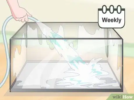 Image titled Spoil Your Gerbils Step 10