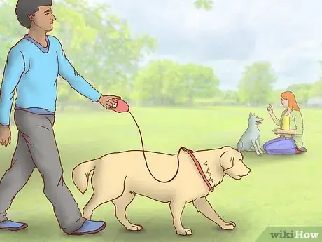 Image titled Maintain Social Skills in Older Dogs Step 1