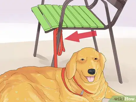 Image titled Dine Out with Your Dog Step 11
