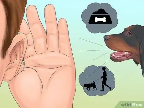 Image titled Identify a Gordon Setter Step 14