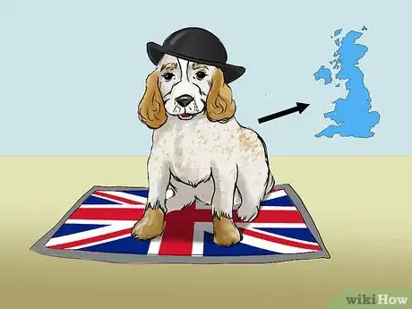 Image titled Choose a Name for a Pet Step 3