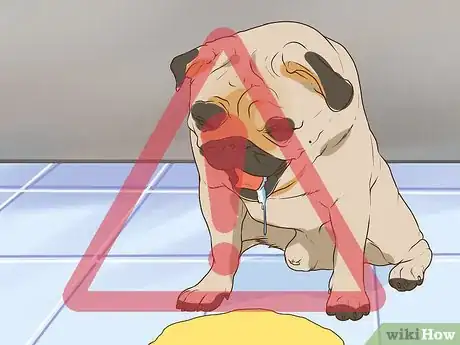 Image titled Get a Complete Geriatric Work Up for Your Dog Step 4