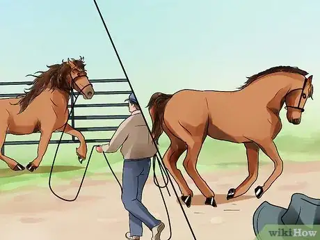 Image titled Be Comfortable Around a Bad‐Tempered Horse Step 18