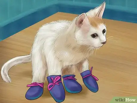 Image titled Get a Cat Used to Snow Step 2