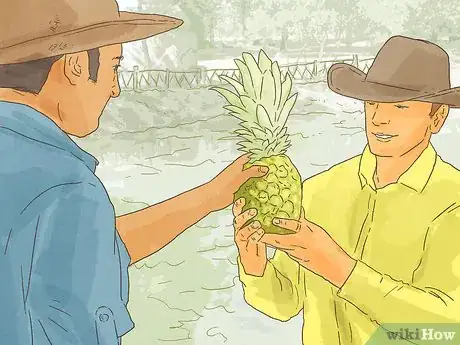 Image titled Invest in Agricultural Real Estate in Illinois Step 13