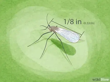 Image titled Prevent over Watering in House Plants Step 15