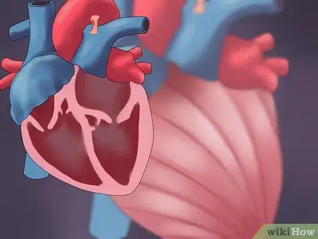 Image titled Determine Cardiac Output Step 16