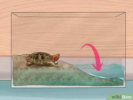 Image titled Buy a Turtle Step 11