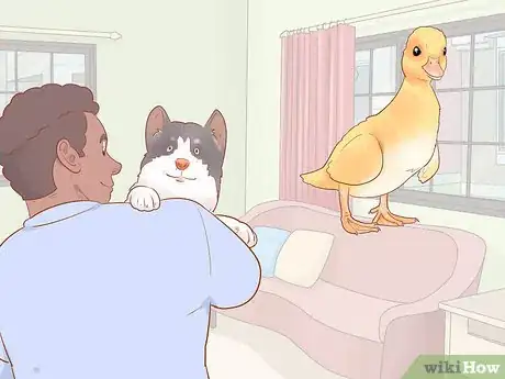 Image titled Keep a Pet When You Have Cats Step 3