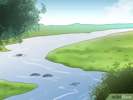 Image titled Train a Horse to Walk Through Water Step 13