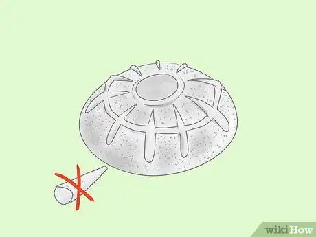 Image titled Tufa Cast Step 5