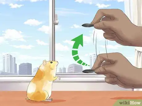 Image titled Train Your Hamster Step 8