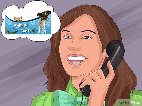 Image titled Return a Stray Dog to Its Owner Step 5