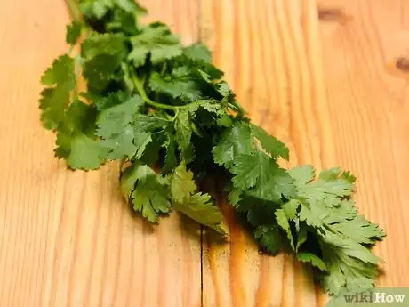 Image titled Freeze Cilantro Step 1