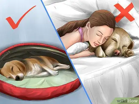 Image titled Care for a Rescued Dog Step 11