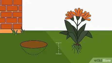 Image titled Plant Bush Lily Step 20