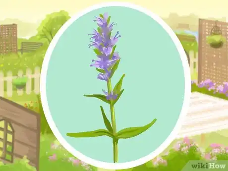 Image titled Plant a Deer‐Resistant Garden Step 21