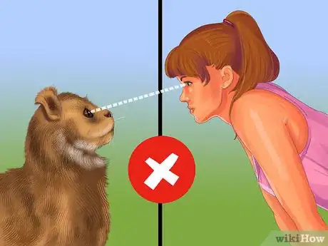 Image titled Socialize a Fearful Cat Step 8