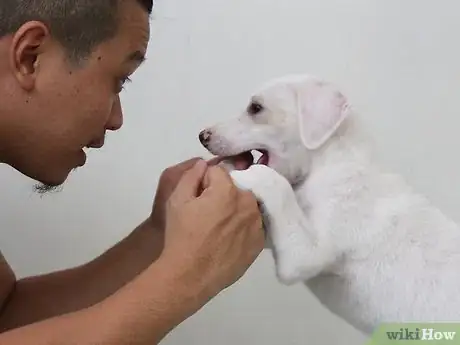 Image titled Make a Puppy Happy Step 14