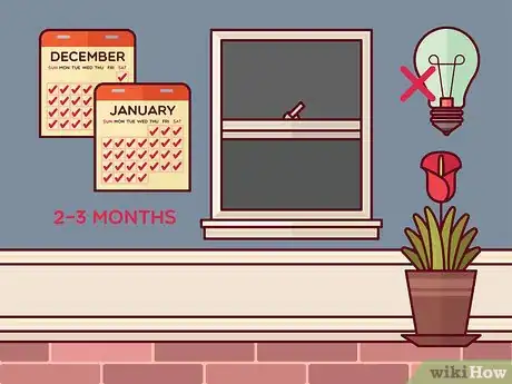 Image titled Get Calla Lilies to Flower Step 9