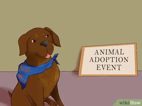 Image titled Save a Dog Whose Owner Is Relocating Step 5