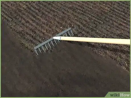 Image titled Plant a Seed Step 11