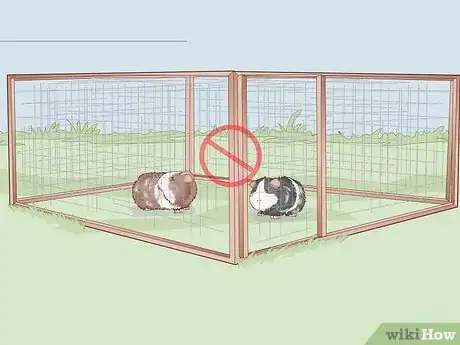 Image titled Run a Guinea Pig Rescue Step 4