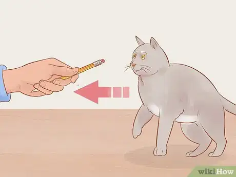 Image titled Target Train a Cat Step 11