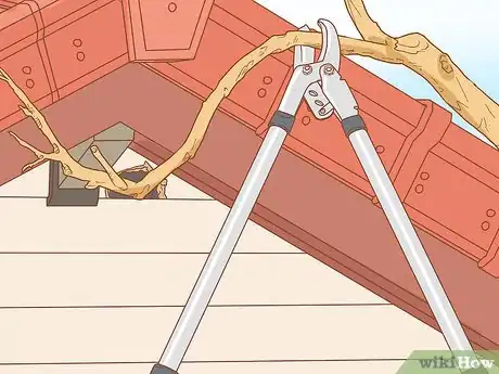 Image titled Prevent a Rat Infestation Step 4