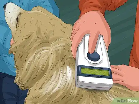 Image titled Return a Stray Dog to Its Owner Step 6