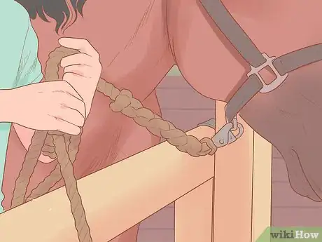 Image titled Groom a Horse for a Show Step 3