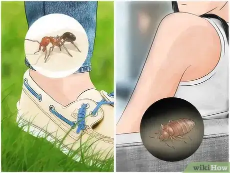 Image titled Identify Insect Bites Step 1