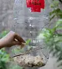 Build a Milk Jug Bird Feeder